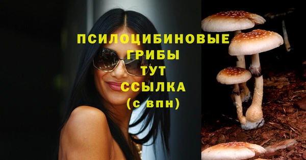 не бодяженный Бородино
