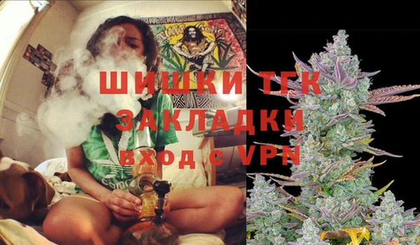 PSILOCYBIN Бугульма