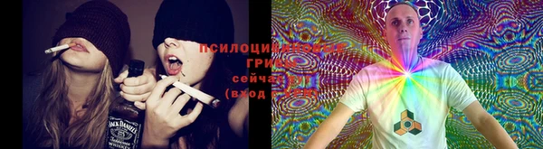 прущая мука Бугульма