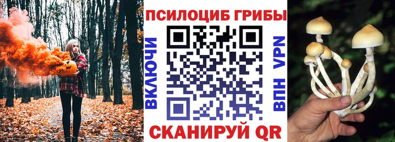 Галлюциногенные грибы Magic Shrooms  где можно купить   Горнозаводск 